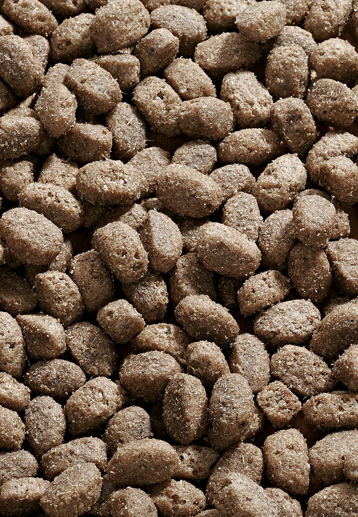 Lamb Pack