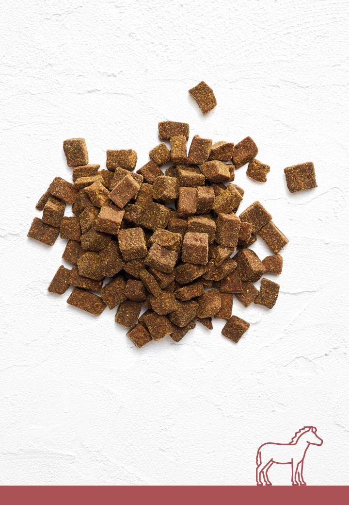 PferdefleischLeckerchen, 100g 250g 1000g für den Hund von VetConcept