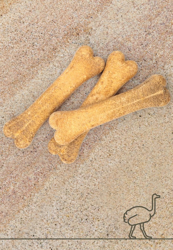 Straussenknochen, 3 Stk. à 12 cm 15 cm für den Hund von VetConcept