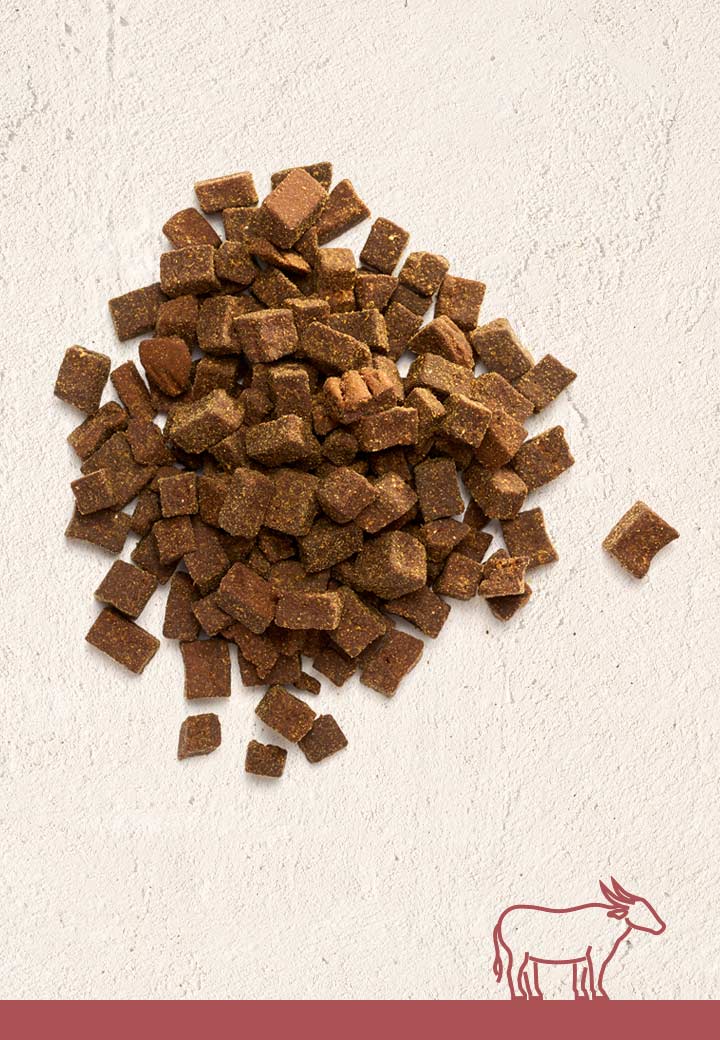 BüffelfleischLeckerchen, 100g 250g 1000g für den Hund von VetConcept