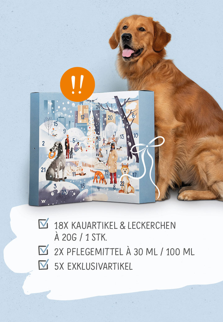 Hunde Adventskalender B�ffel Bild 3