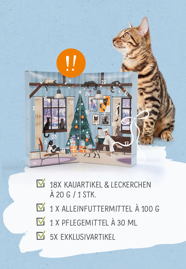 Katze Adventskalender Pferd Bild 3