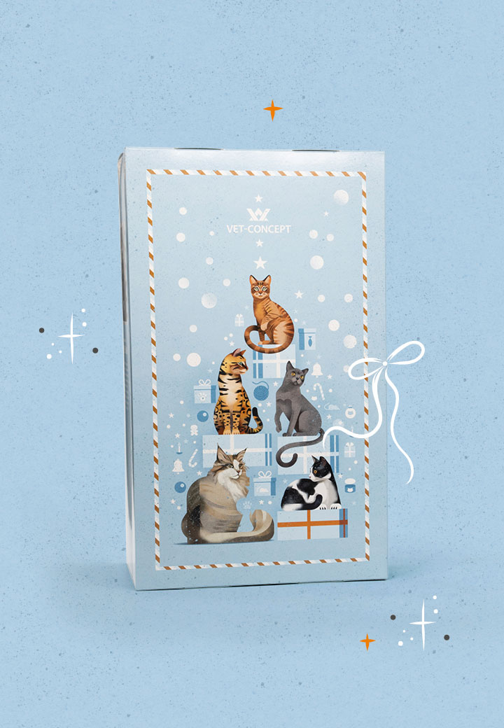 Katzen Adventskalender Gefl�gel Bild 2