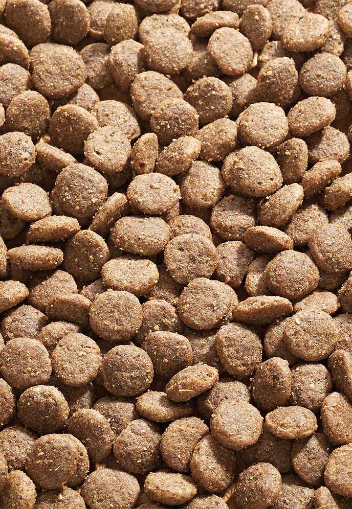 Cat Low Mineral Oxalat