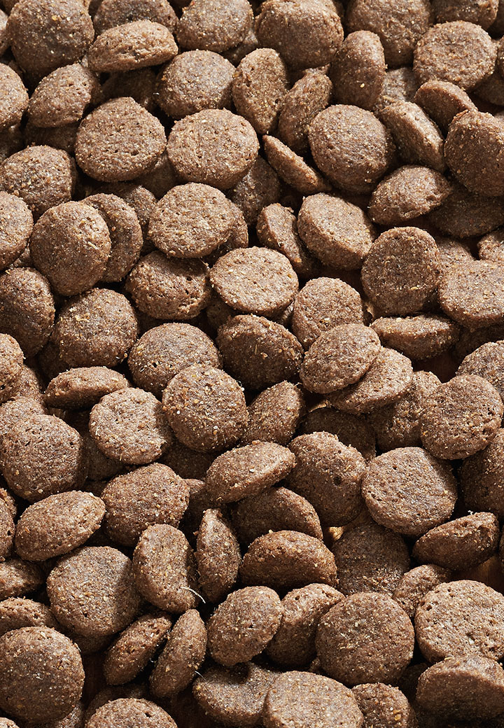 Dog Low Mineral