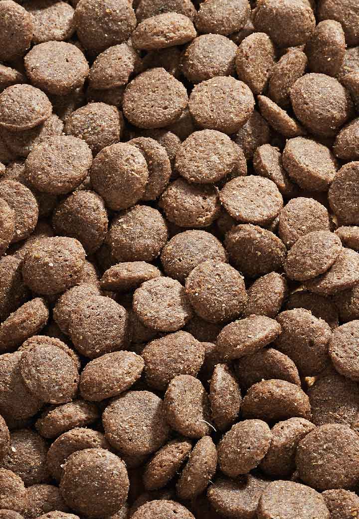Dog Low Mineral Oxalat