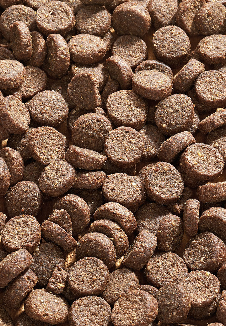 Dog Low Carb