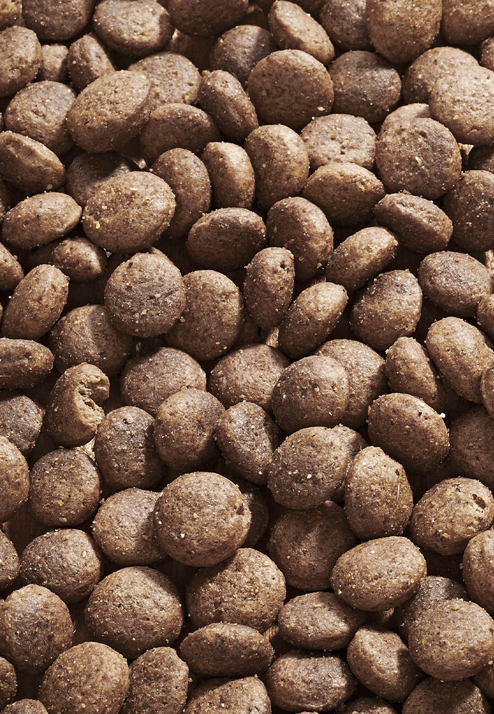 Dog Intestinal Low Fat