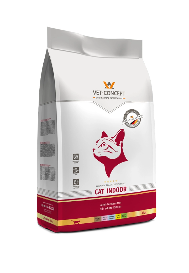 Cat Indoor
