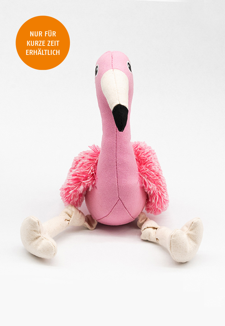 Flamingo Friedbert