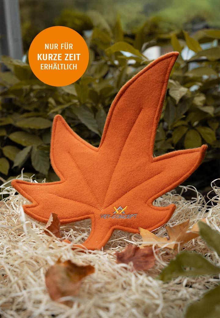 Herbstblatt orange