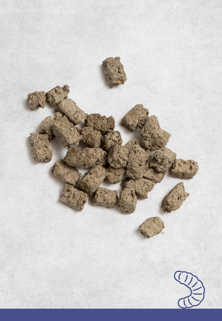 Hermetia-Crunchies, 100g