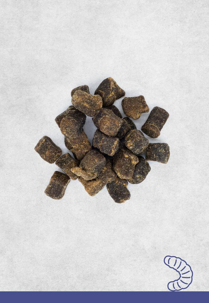 Hermetia-Illucens-Leckerchen, 100g, 250g, 1000g