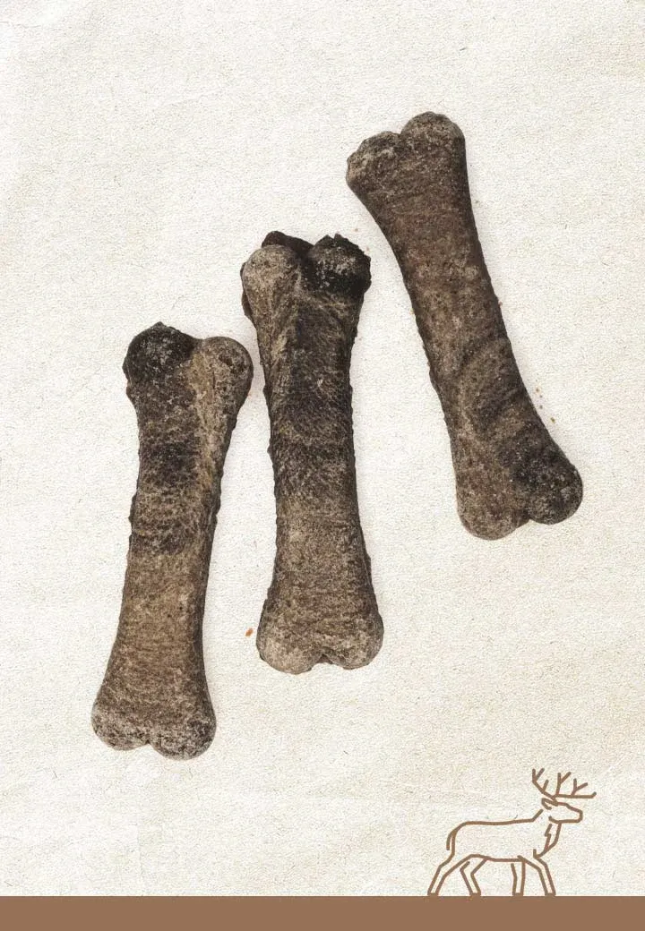 Hirsch-Knochen, 3 Stk. a 12 cm, 15 cm