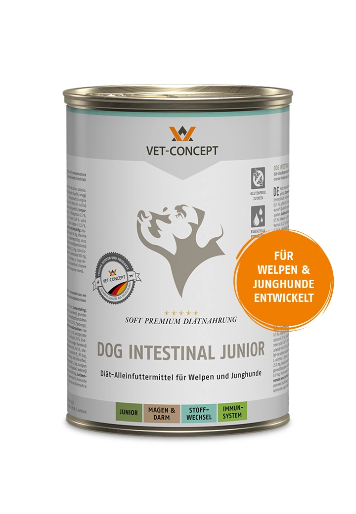 Hundemenue Intestinal Junior