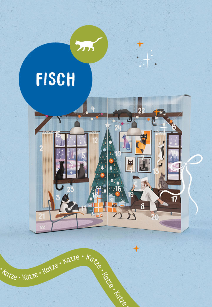Katzen Adventskalender Fisch