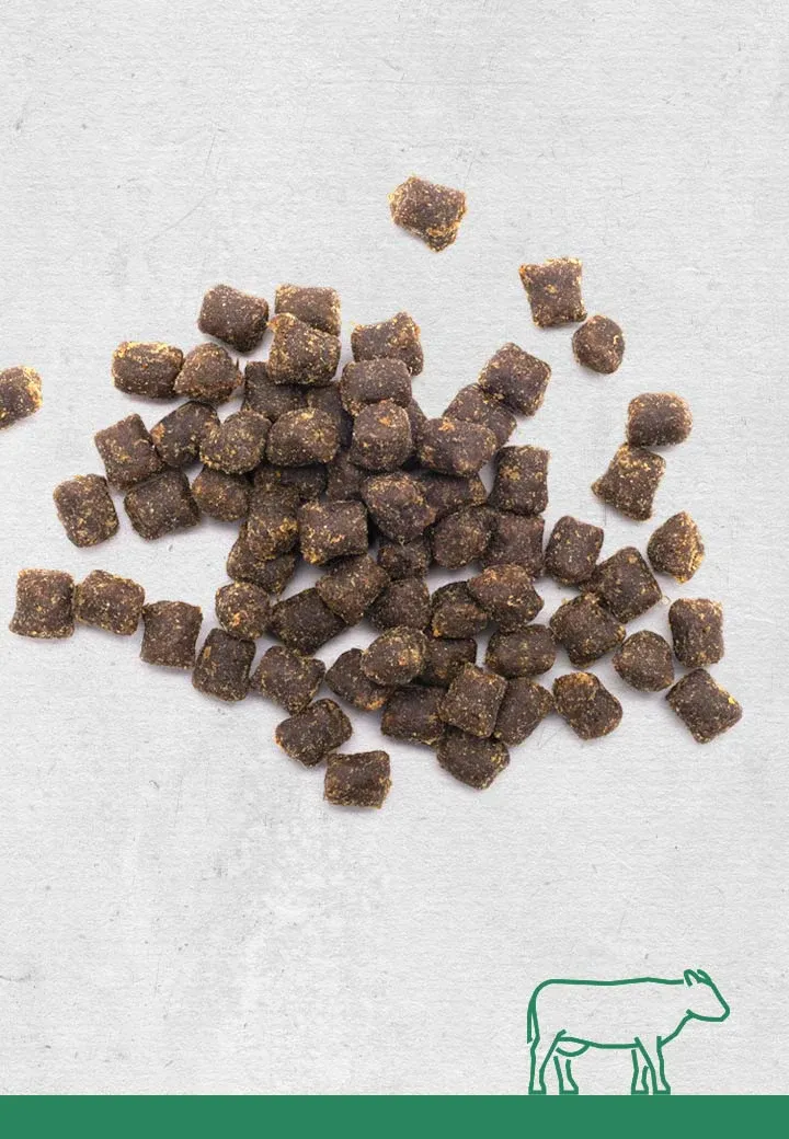 Knabberwoelkchen Rind, 100g