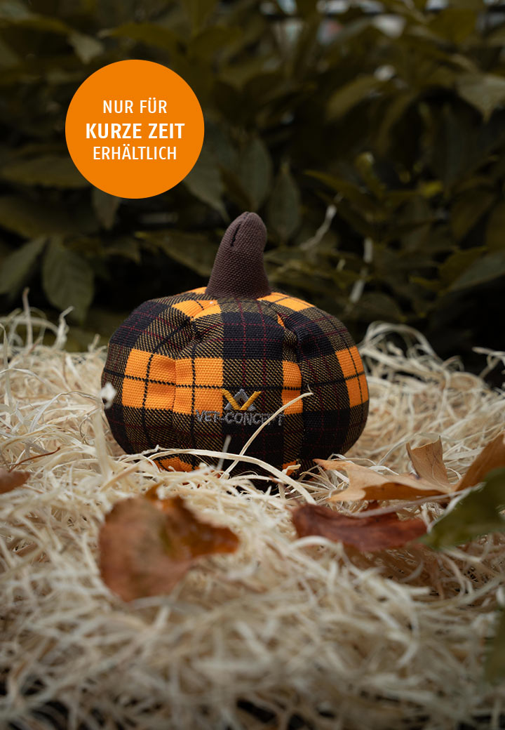 Kuerbis klein