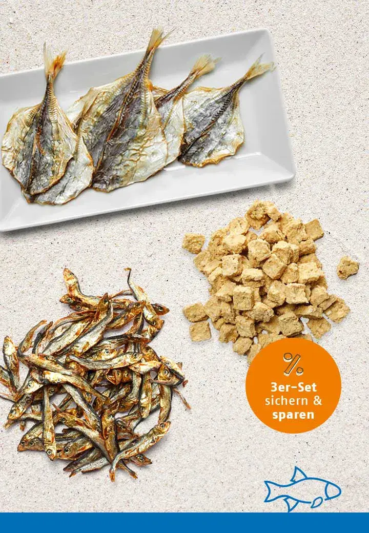 Snack-Bundle FISCH