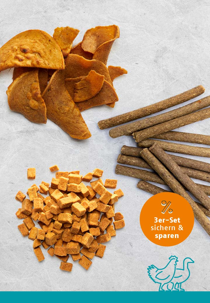 Snack-Bundle GEFL�GEL