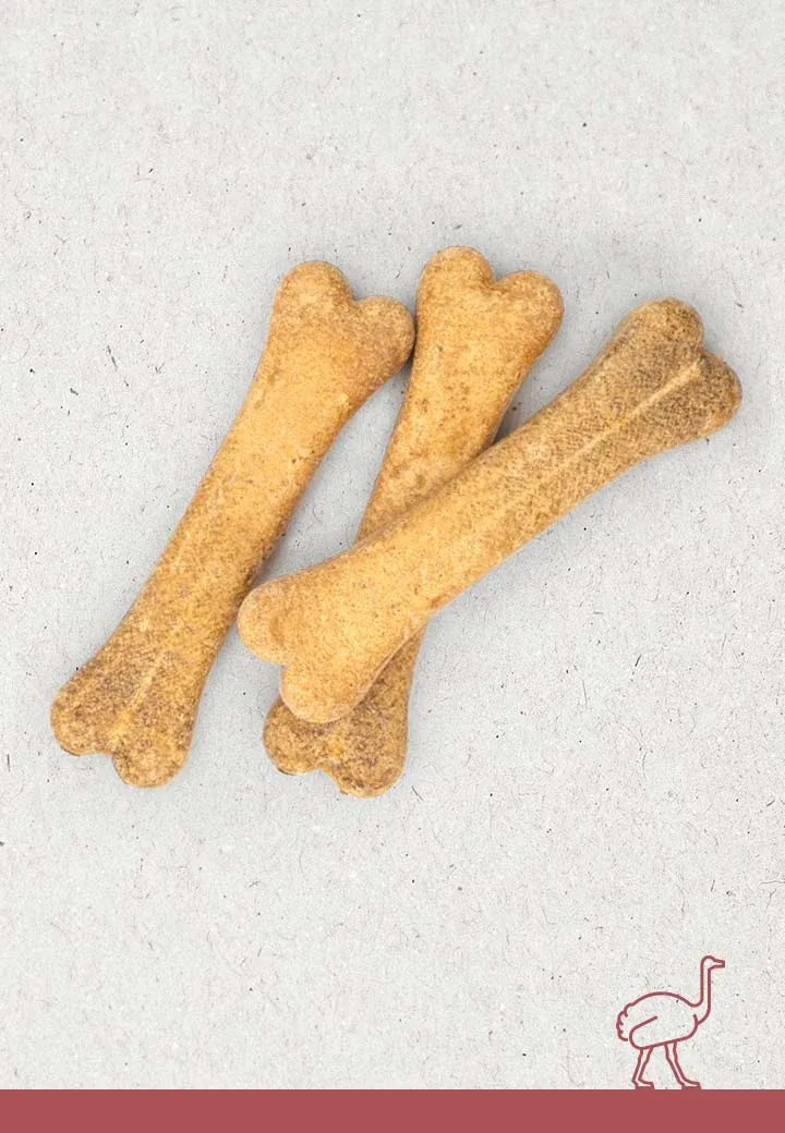 Straussen-Knochen, 3 Stk. a 12 cm, 15 cm