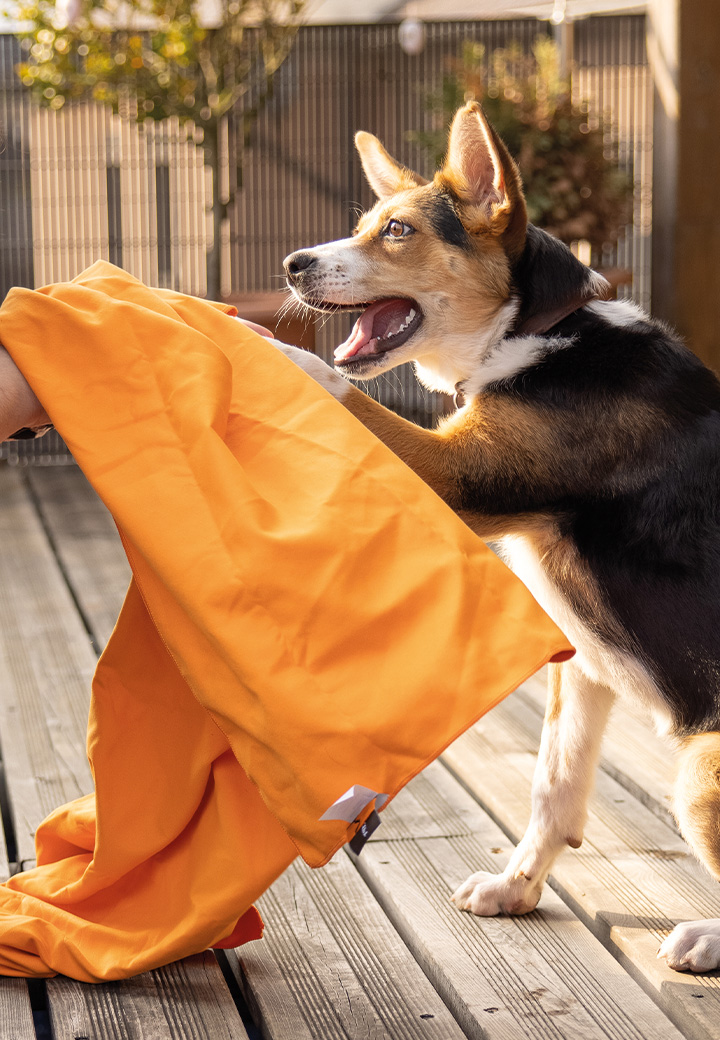 Vet-Concept Hundehandtuch