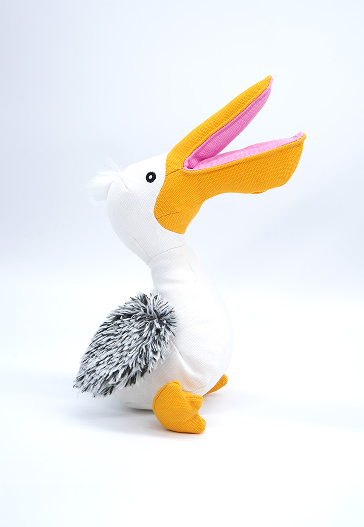 Pelikan Phil Bild 4