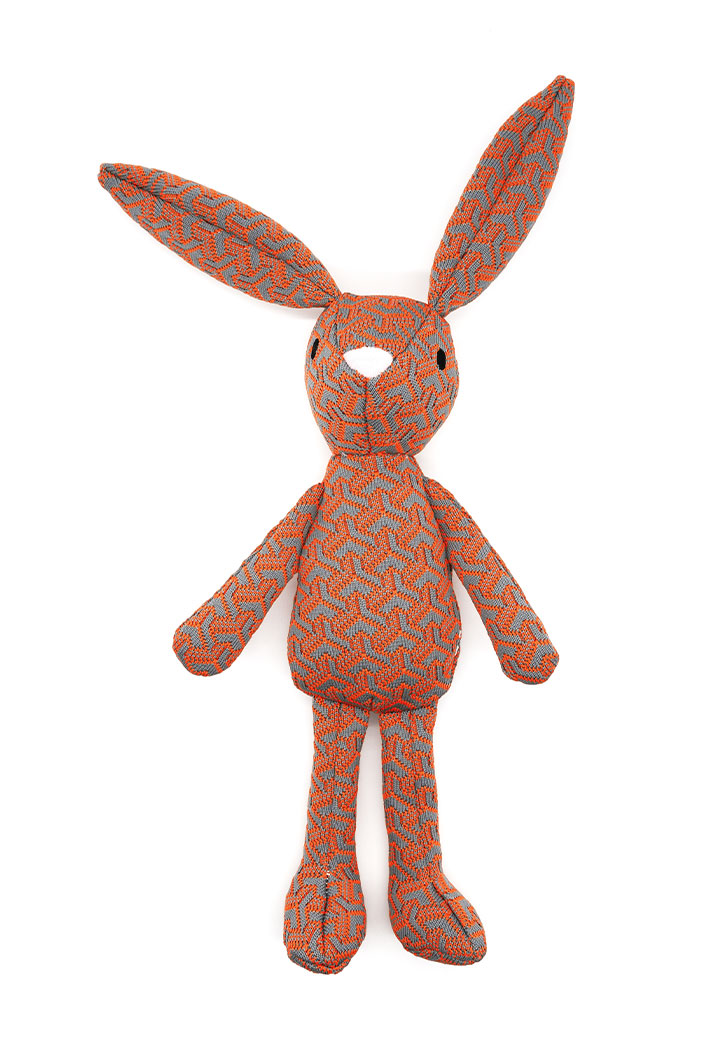 Hase Harry