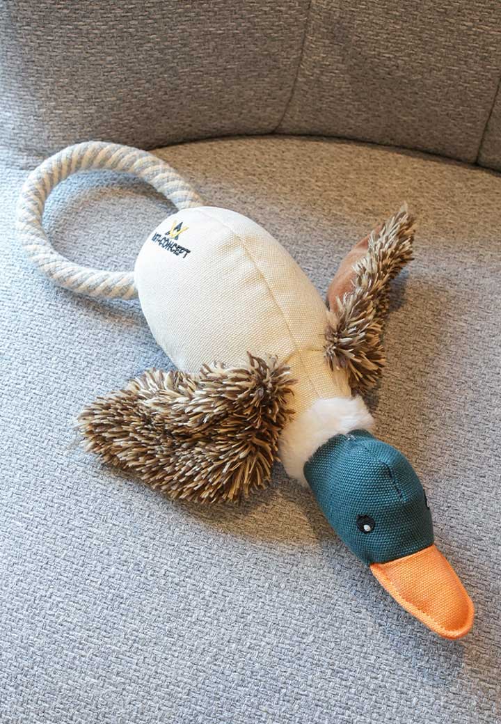 Ente Eddy Bild 2