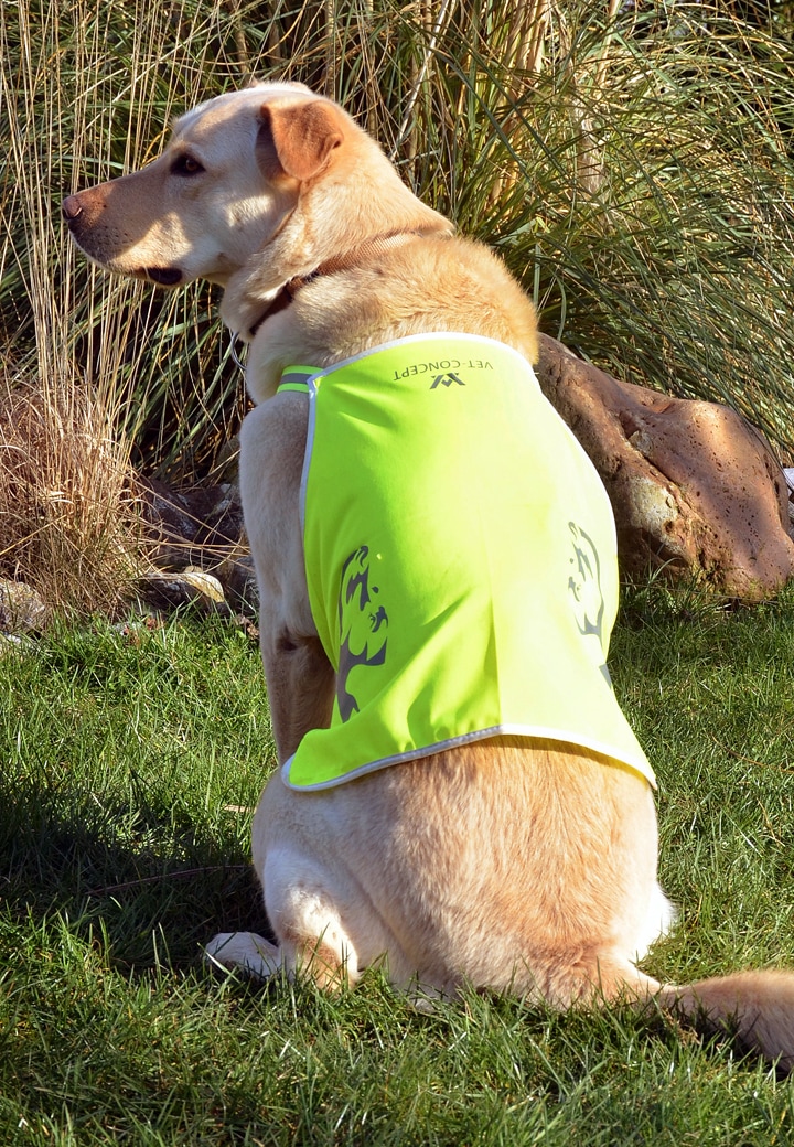 Vet-Concept Warnweste Hund