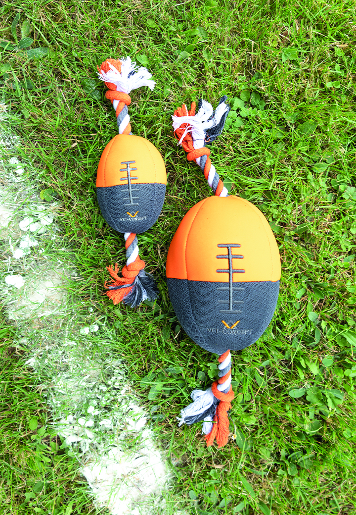 Vet-Concept Football