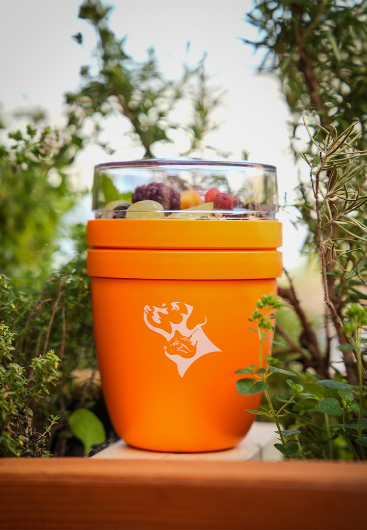 Vet-Concept x Mepal Lunchpot Ellipse orange