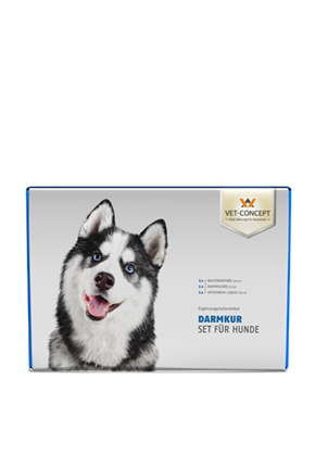 Darmkur Hund