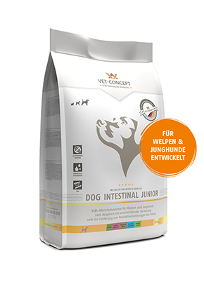Dog Intestinal Junior