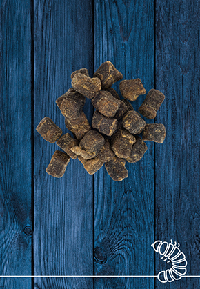 Hermetia-Illucens-Leckerchen, 100g, 250g, 1000g