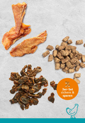 Snack-Bundle-Hund HUHN