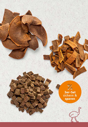 Snack-Bundle-Katze STRAUSS