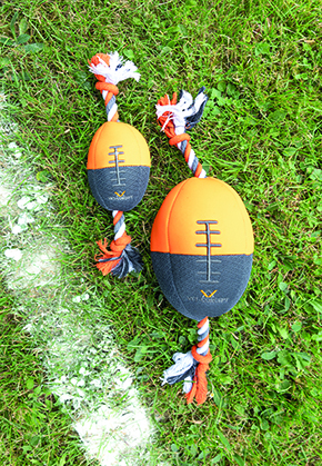 Vet-Concept Football